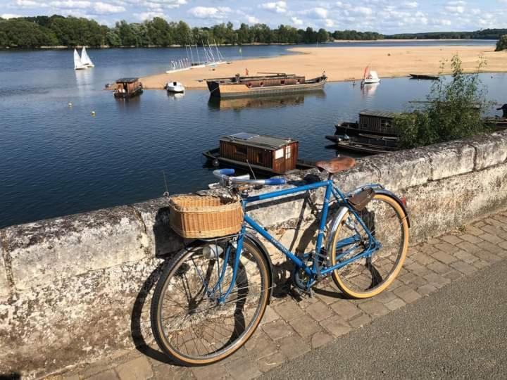 B&B Cote Loire Les Rosiers Zewnętrze zdjęcie